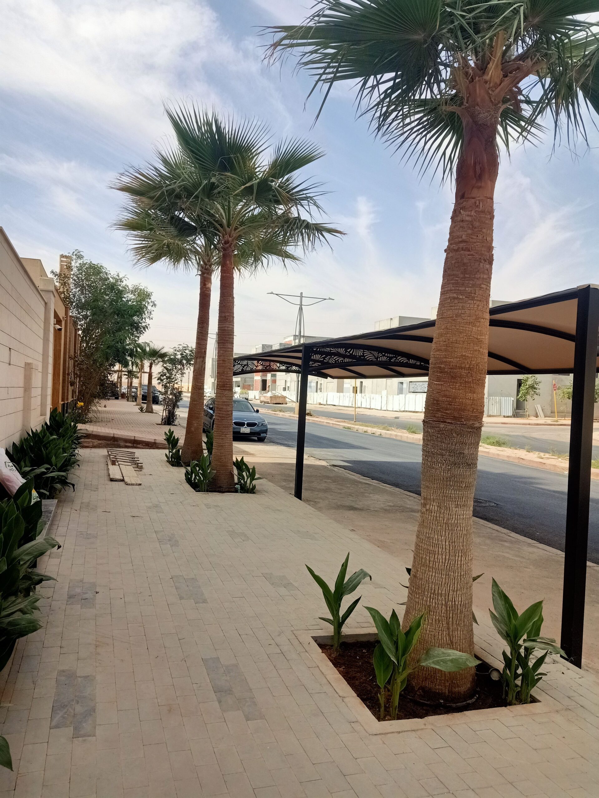 مشتل زراعي الرياض حي الملقا طريق الملك سلمان