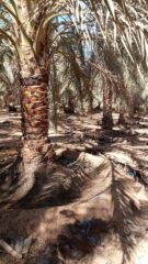 a1a2414e-7db8-44e5-a243-e31591ed20f2