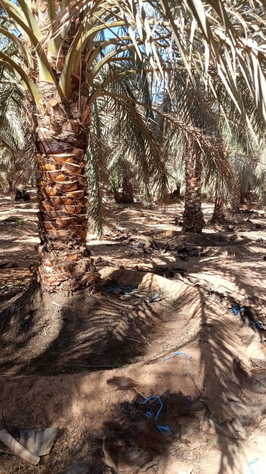 الموقع الرياض حريملاء