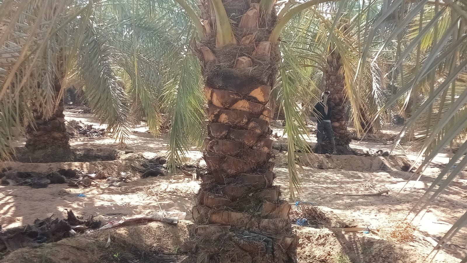 الموقع الرياض حريملاء