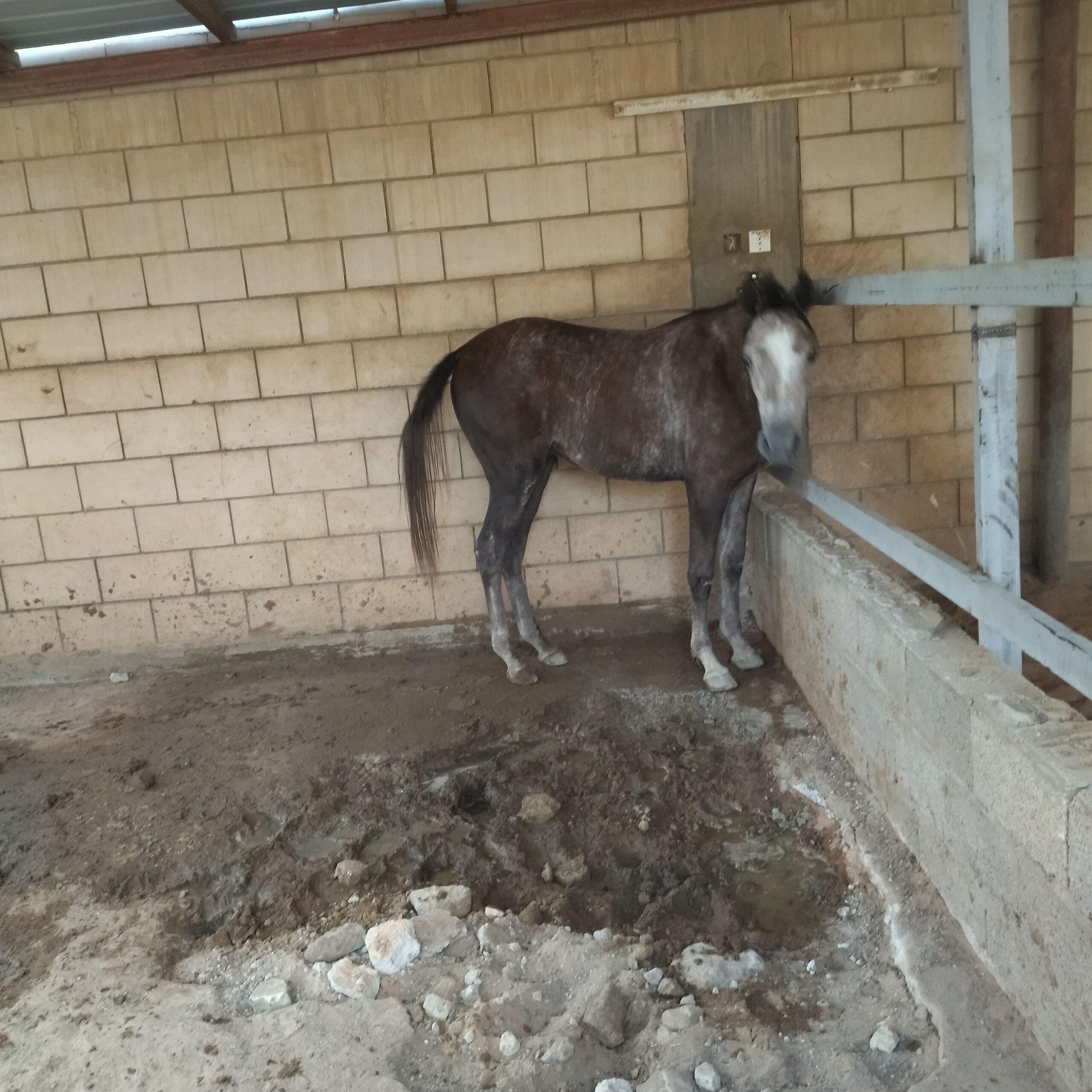 الموقع الرياض حريملاء