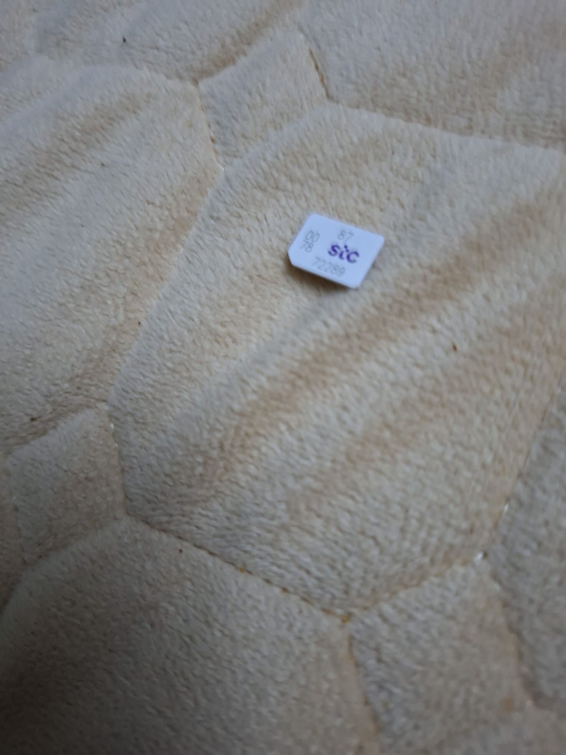 رقم جوال استيسي 0552853290 بنقله للمشتري في مكتب ا