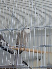 b1f73782-758e-4dd4-b341-eebb30d668aa