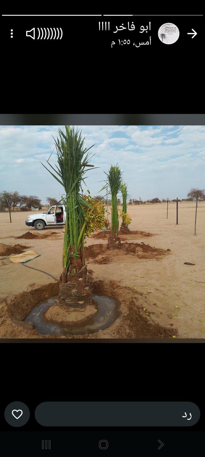 يوجد لدينا جميع انواع انخيل