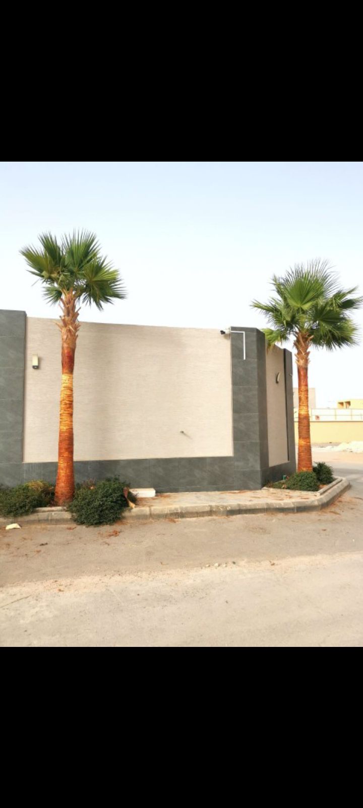 زراعه نخيل عربي واشنطني واعمال الشبوك وتوريدها