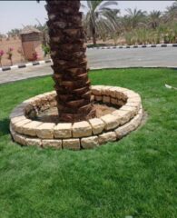 d64484c0-3806-48a7-9bc2-709e304fe57e