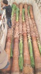 f59e7b2d-0787-421b-be53-7817a86eca31