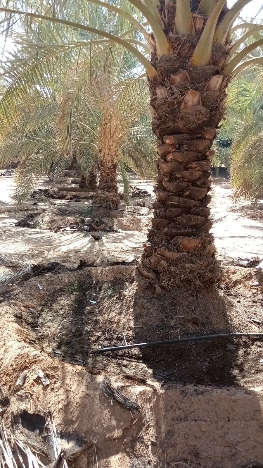 الموقع الرياض حريملاء