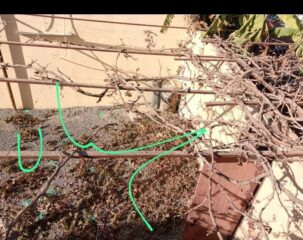 005e3536-991a-44e1-a952-b561c338f0ea