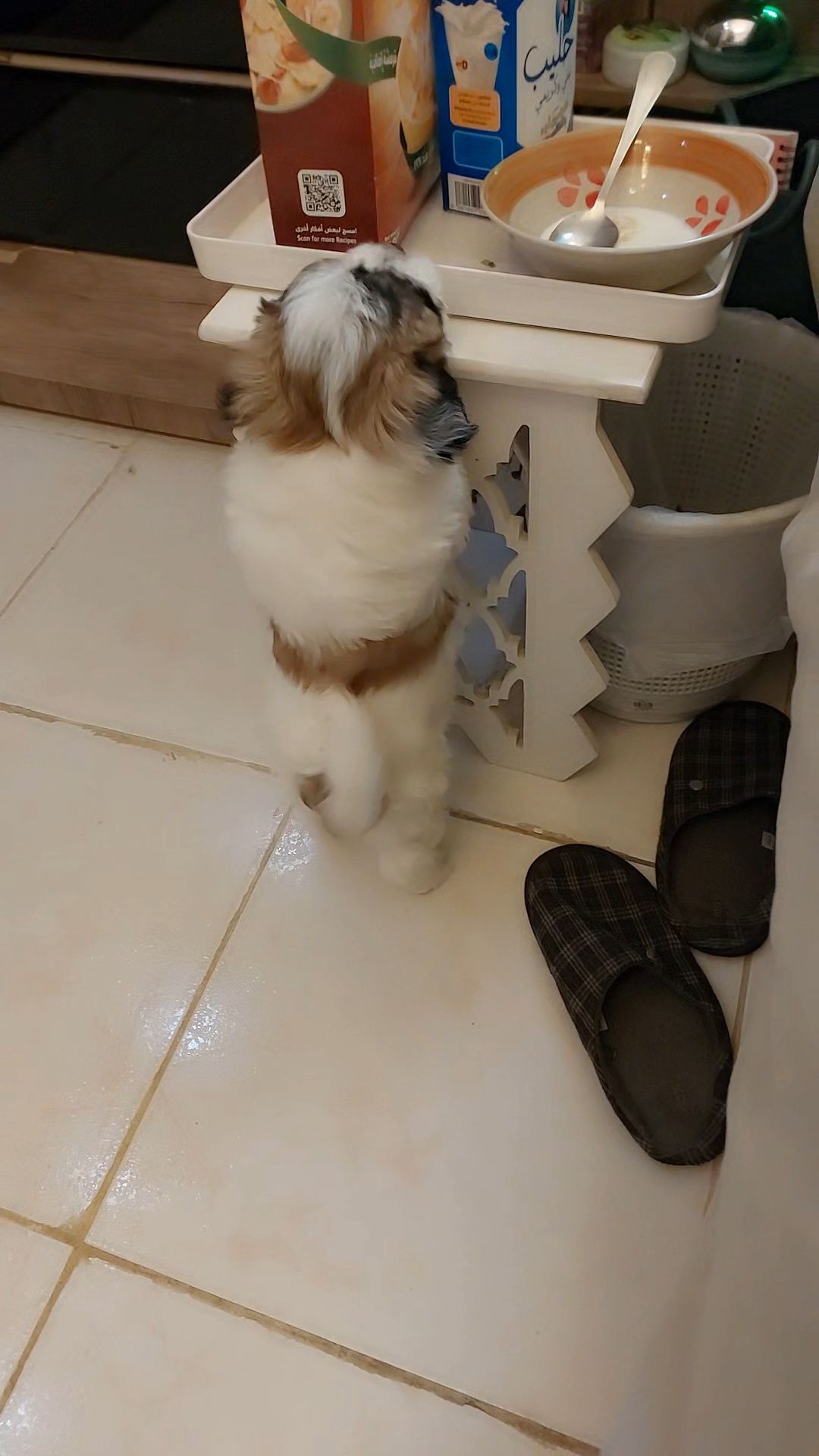 نمار العوالي