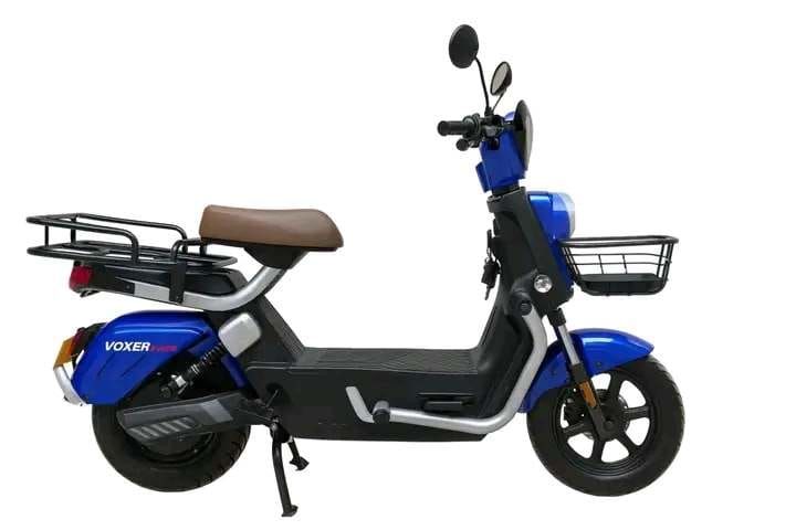 السبعين تقاطع فلسطين