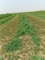 10389d38-dc14-4b27-ac81-6915eec61dd3