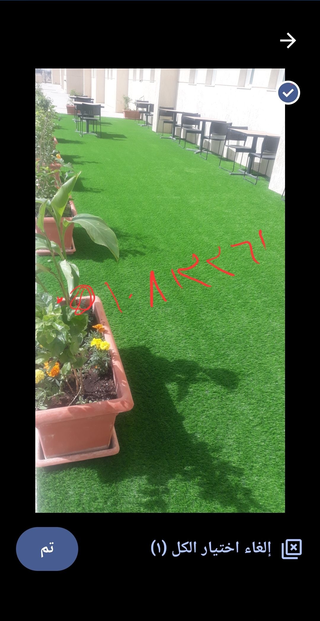 مشتل تنسيق حدائق شبكات ري وجميع انواع النخيل والأش