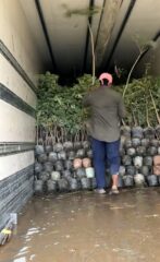 1be654e6-97a2-485c-ac38-3fe645242a32