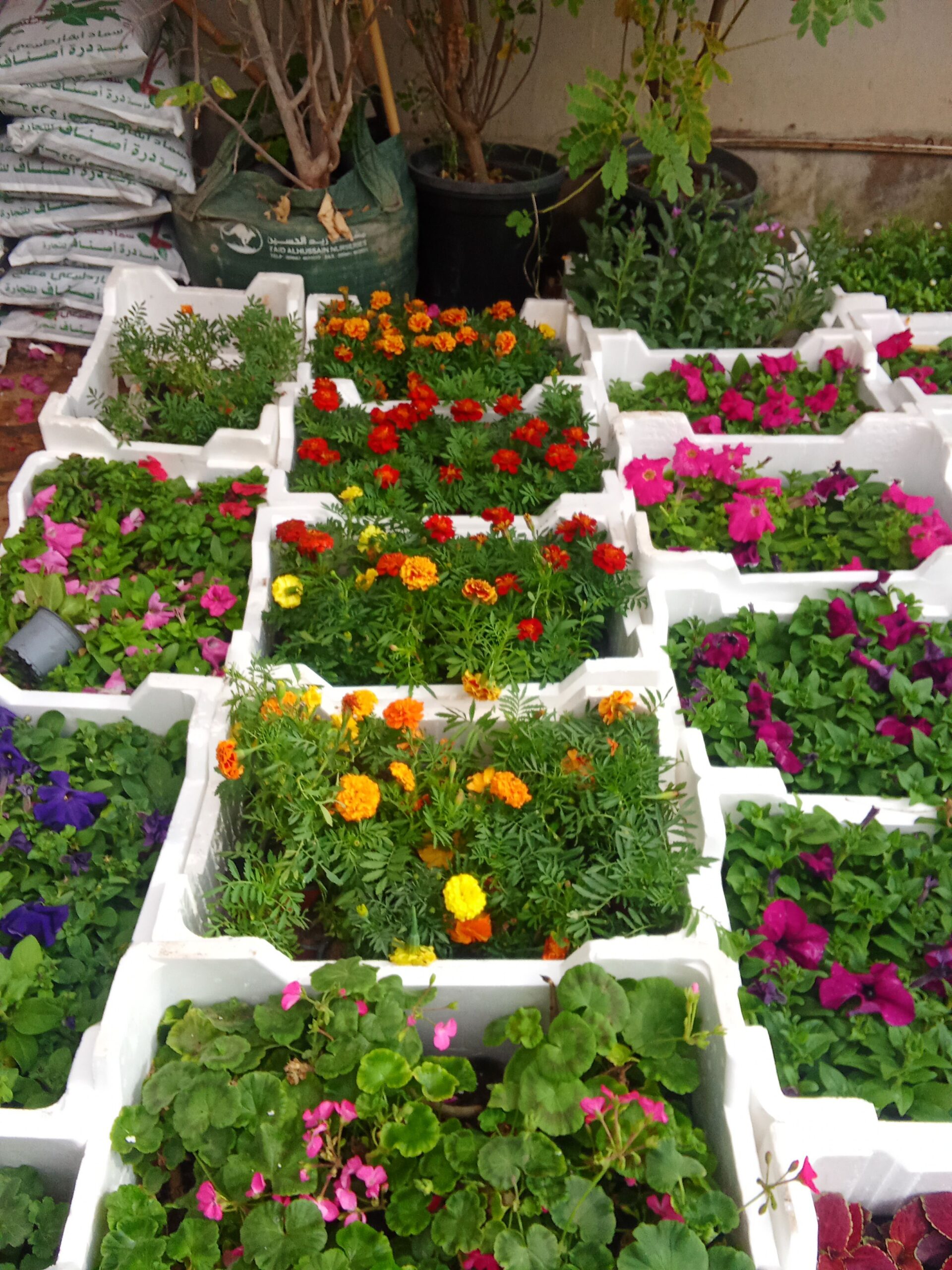 الرياض حي الملك فهد