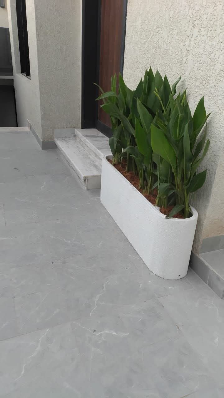 مشتل زراعي الرياض حي الملقا طريق الملك سلمان