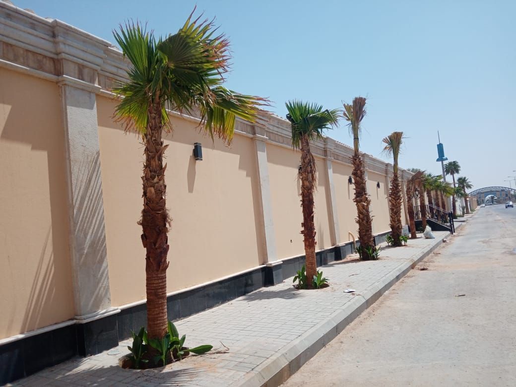 مشتل تنسيق حدائق شبكات ري وجميع انواع النخيل والأش