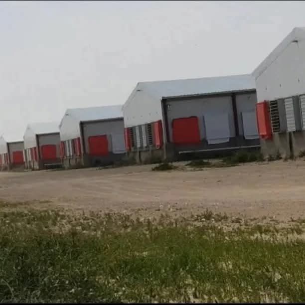 جميع مناطق المملكة