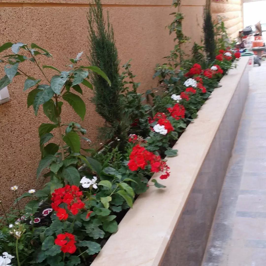 مشتل زراعي الرياض حي الملقا طريق الملك سلمان