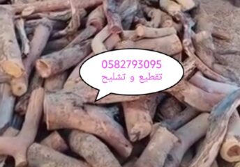 4e4c0db8-1f58-4dc2-8265-7a8cbb76f395