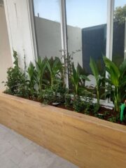 6ddfc06c-f3d6-462a-98d1-a6b13e686323