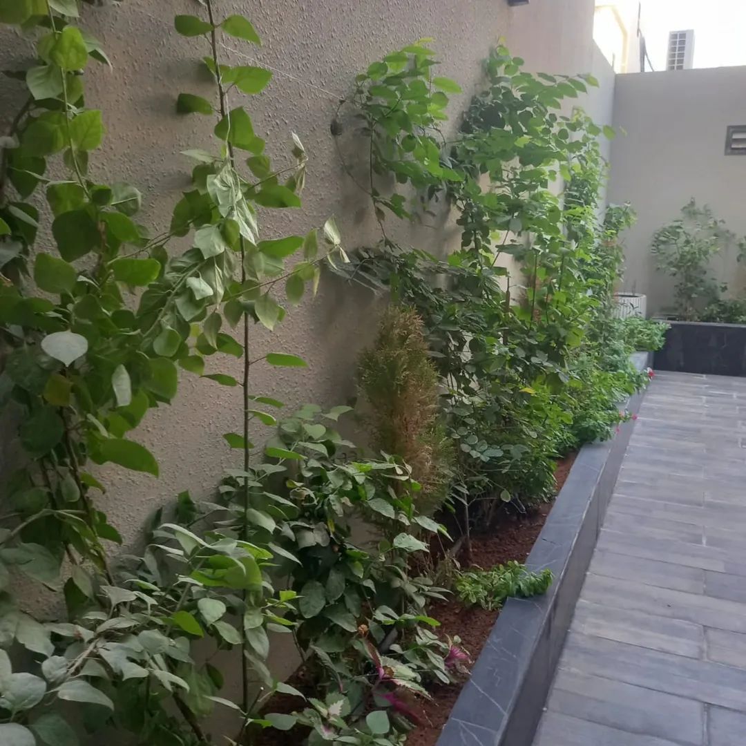 مشتل زراعي الرياض حي الملقا طريق الملك سلمان