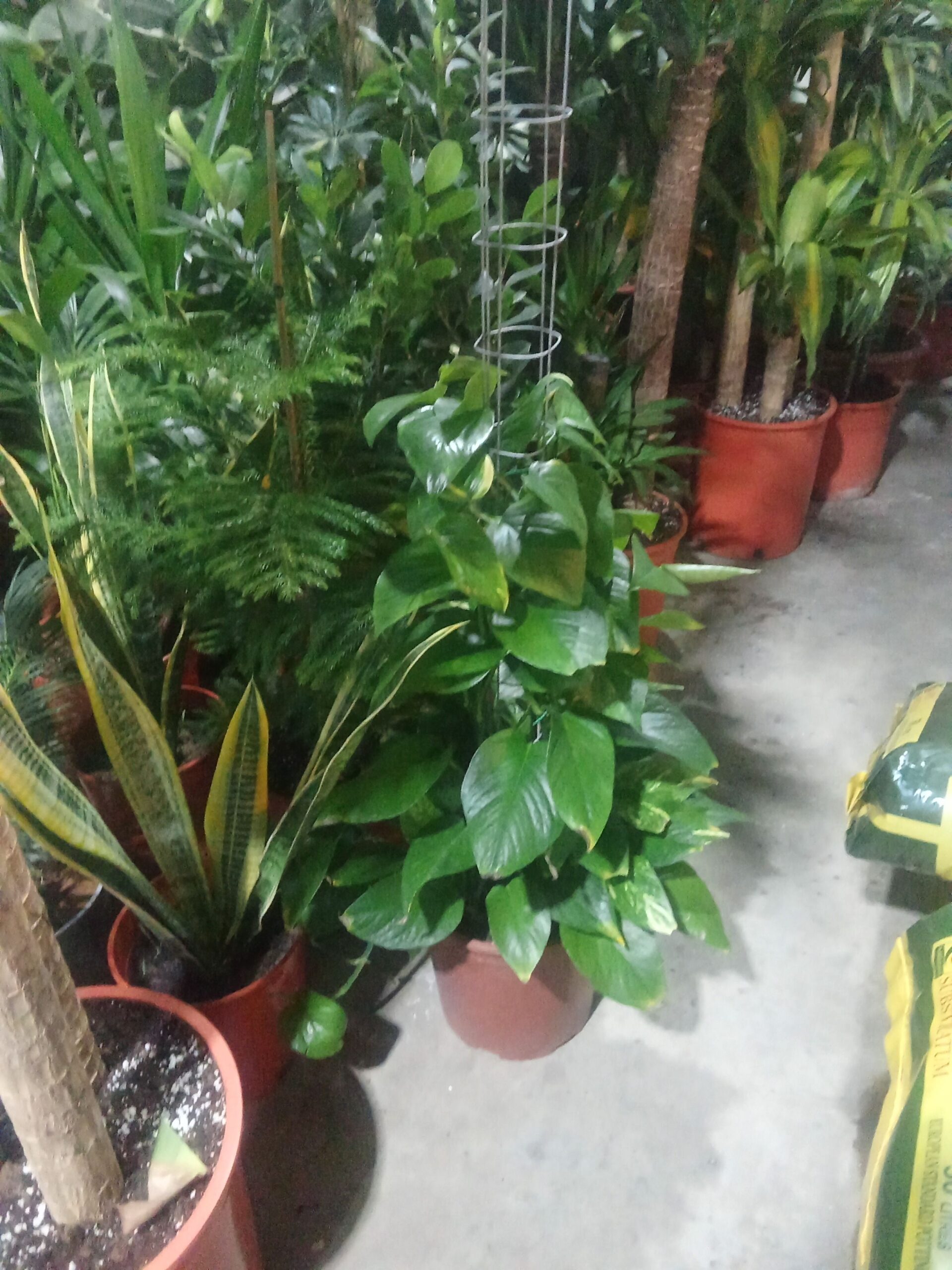 الرياض حي الملك فهد