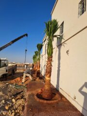 9ecb0f62-beca-4944-8b73-f155ad0a5e58