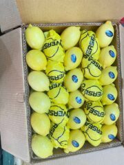 a2fe57b2-39db-48e1-8d26-d938286bd2fc