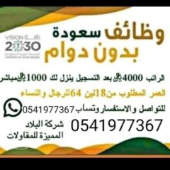 a52bd348-1ac2-4cdd-81e1-d938a07d175e