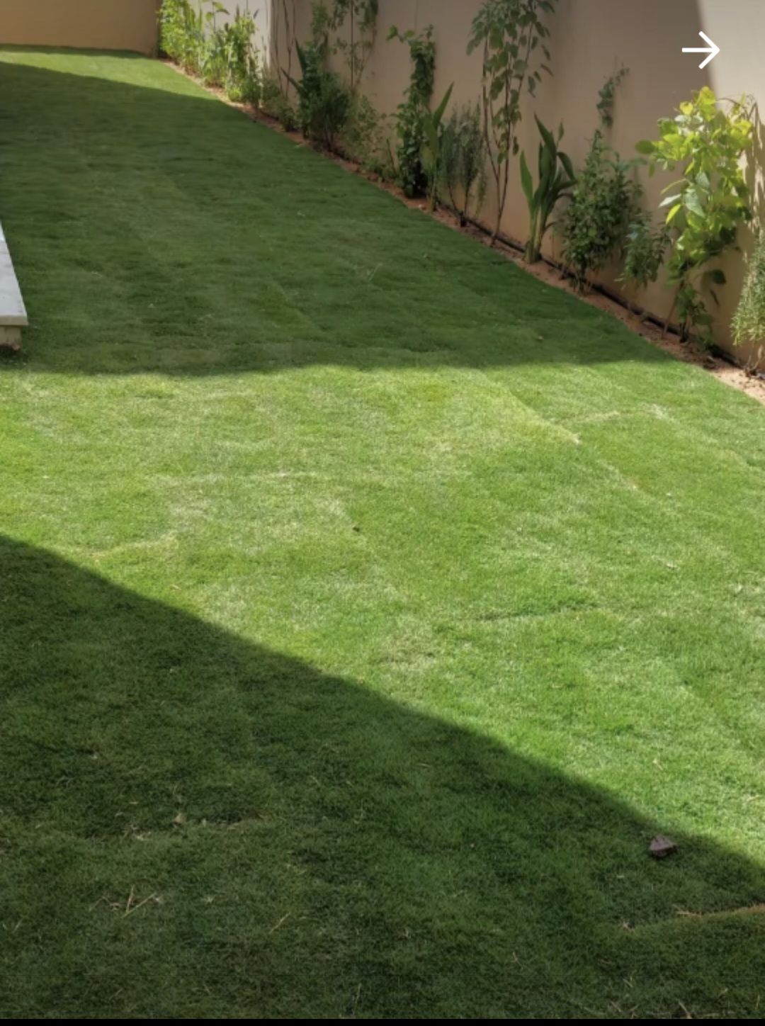 تنسيق الحدايق بالعشب الطبيعي والصناعي فن واعمال ال