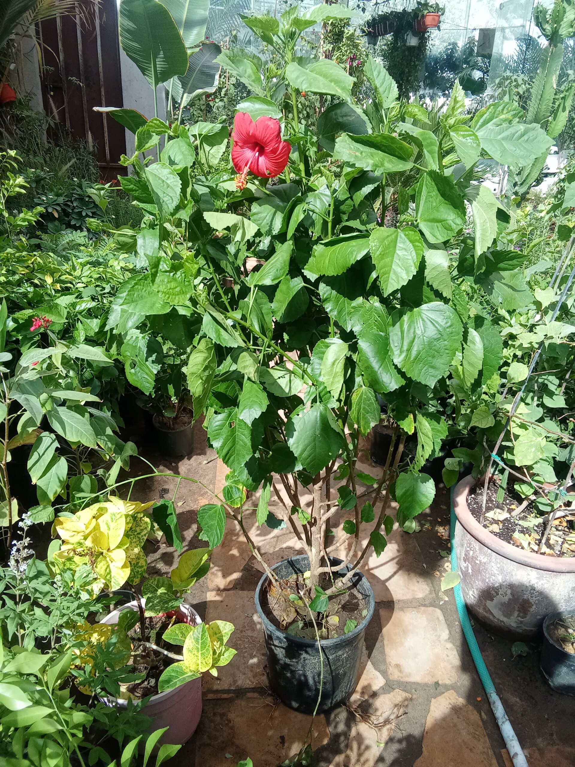 الرياض حي الملك فهد