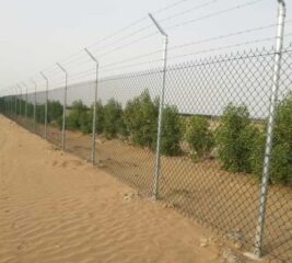 ca5612c2-b4aa-41d0-845e-86f74e2e7c59