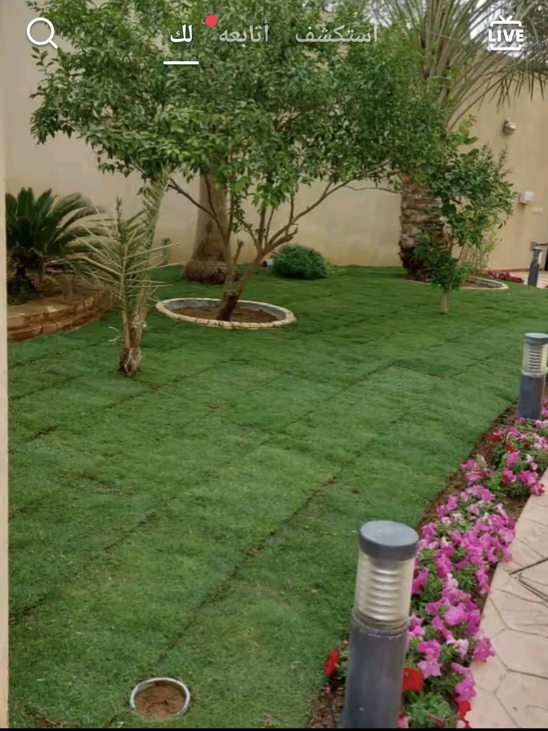 تنسيق الحدايق بالعشب الطبيعي والصناعي فن واعمال ال