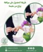 مكتب خدمات عامه