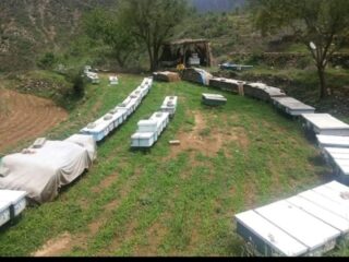 df0eadb2-8567-47b0-9db4-17815eac9740