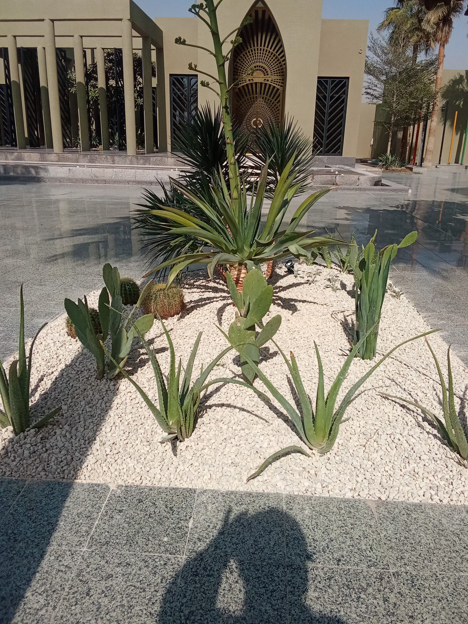 الرياض حي الملك فهد