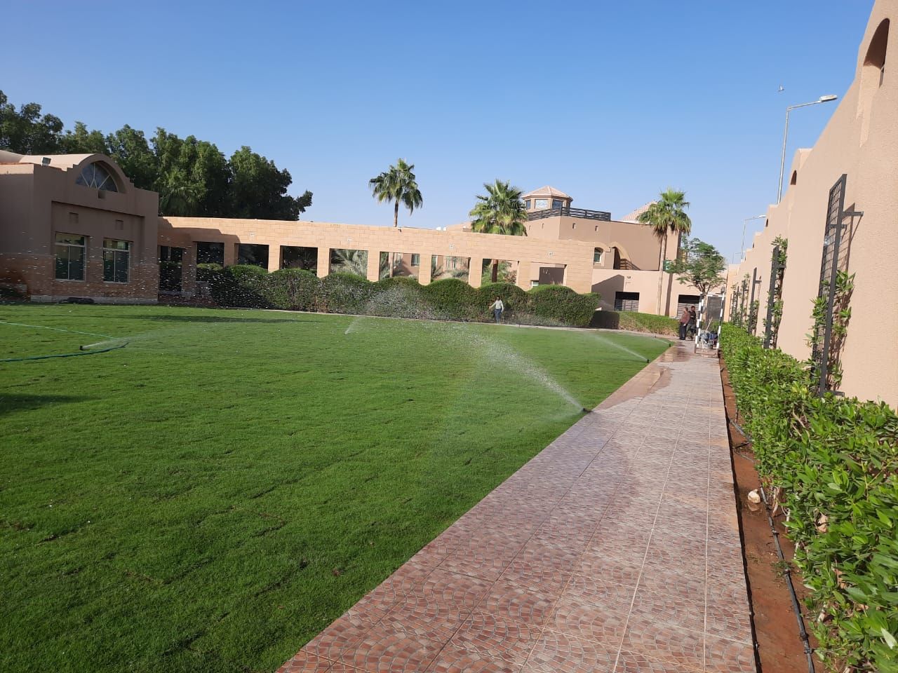 مشتل تنسيق حدائق شبكات ري وجميع انواع النخيل والأش