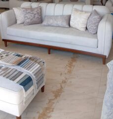 0090dc30-bb97-41d6-9c14-f5eed9ba68ab