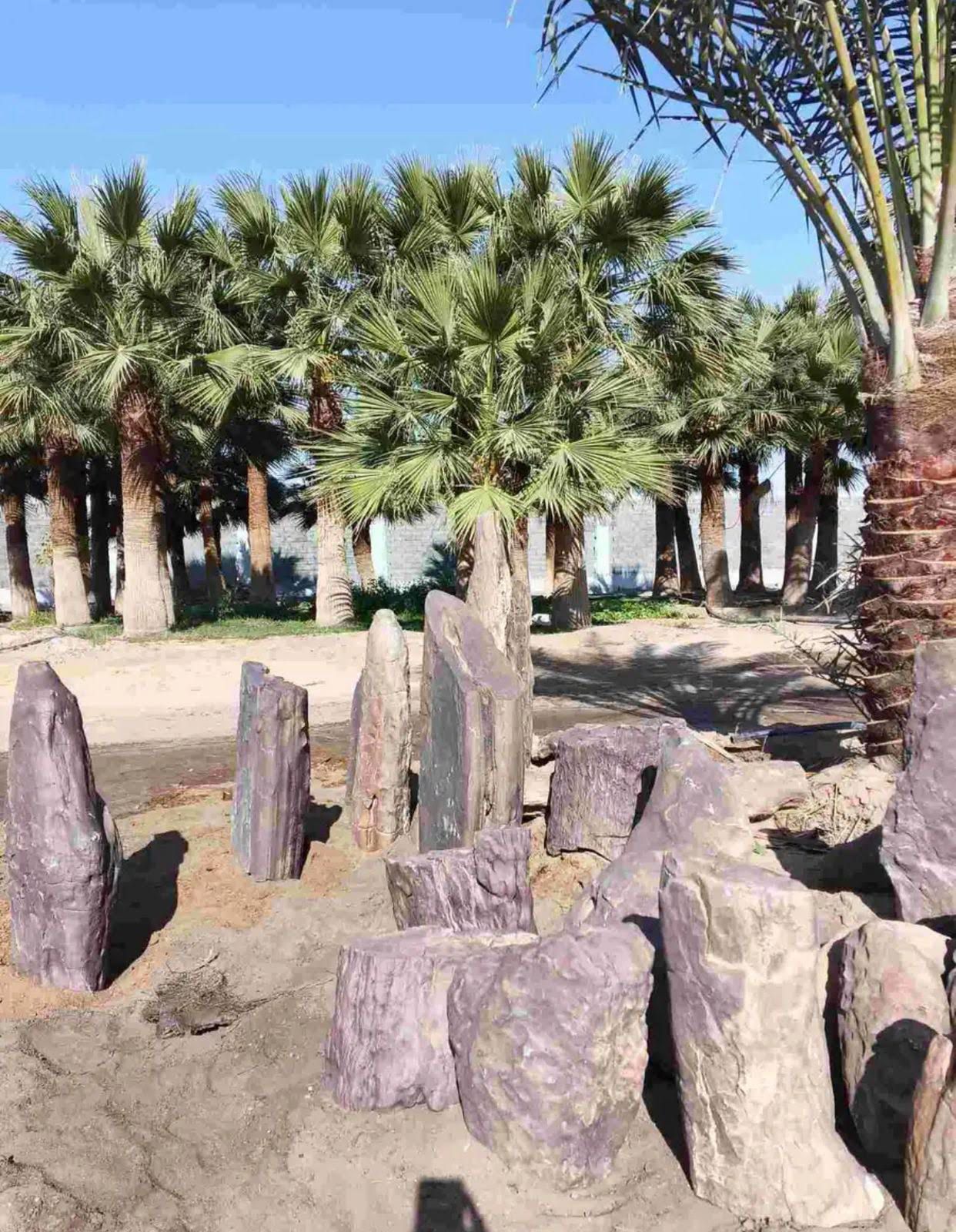 حجر الطبيعي ديكور زينه الحدائق الاستراحات البيت وا