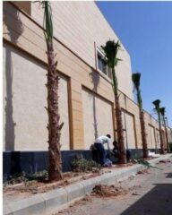 8f894f86-5dbd-416d-83c3-ba0e550c1521