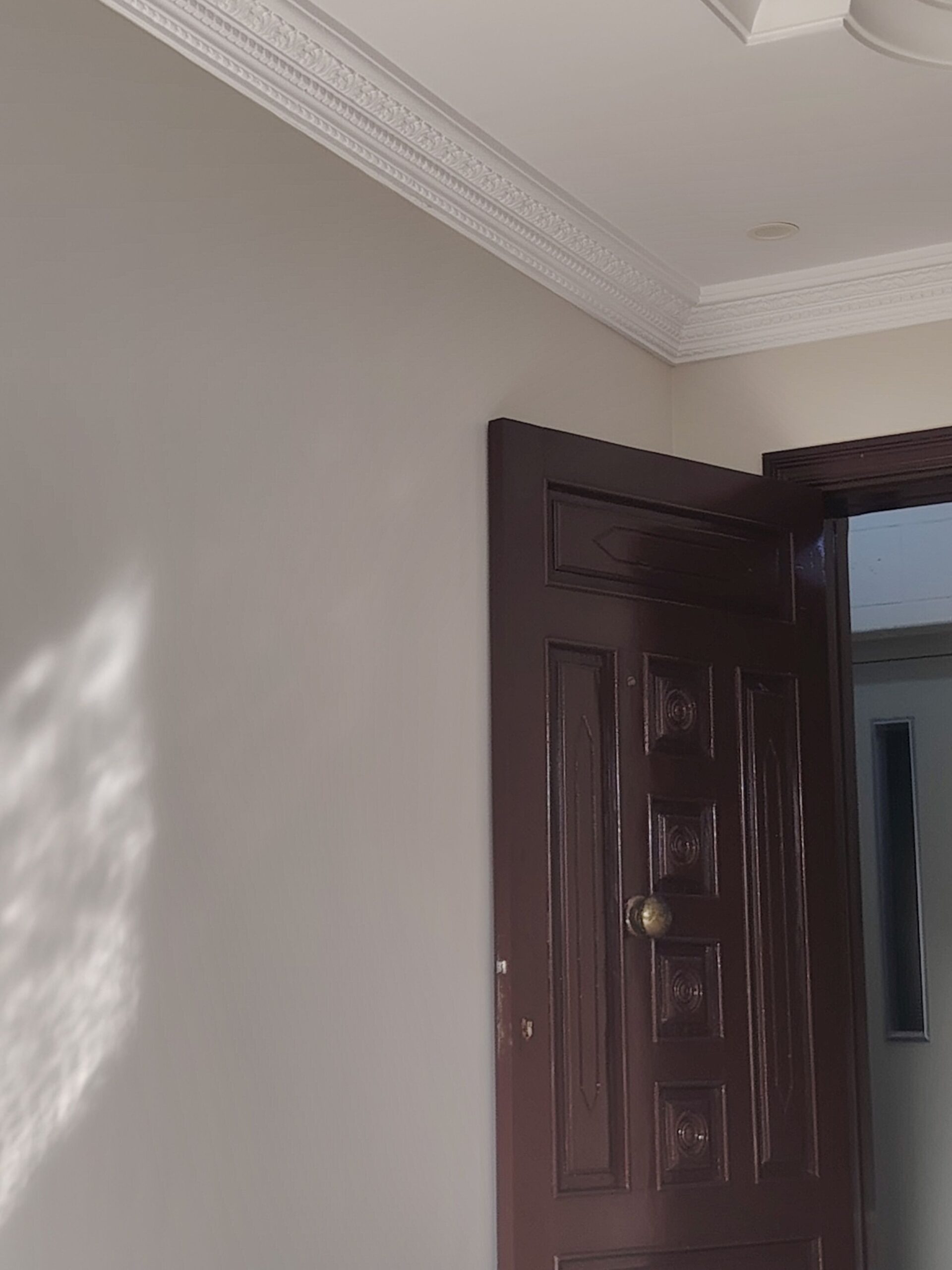 جده حي اصفاء