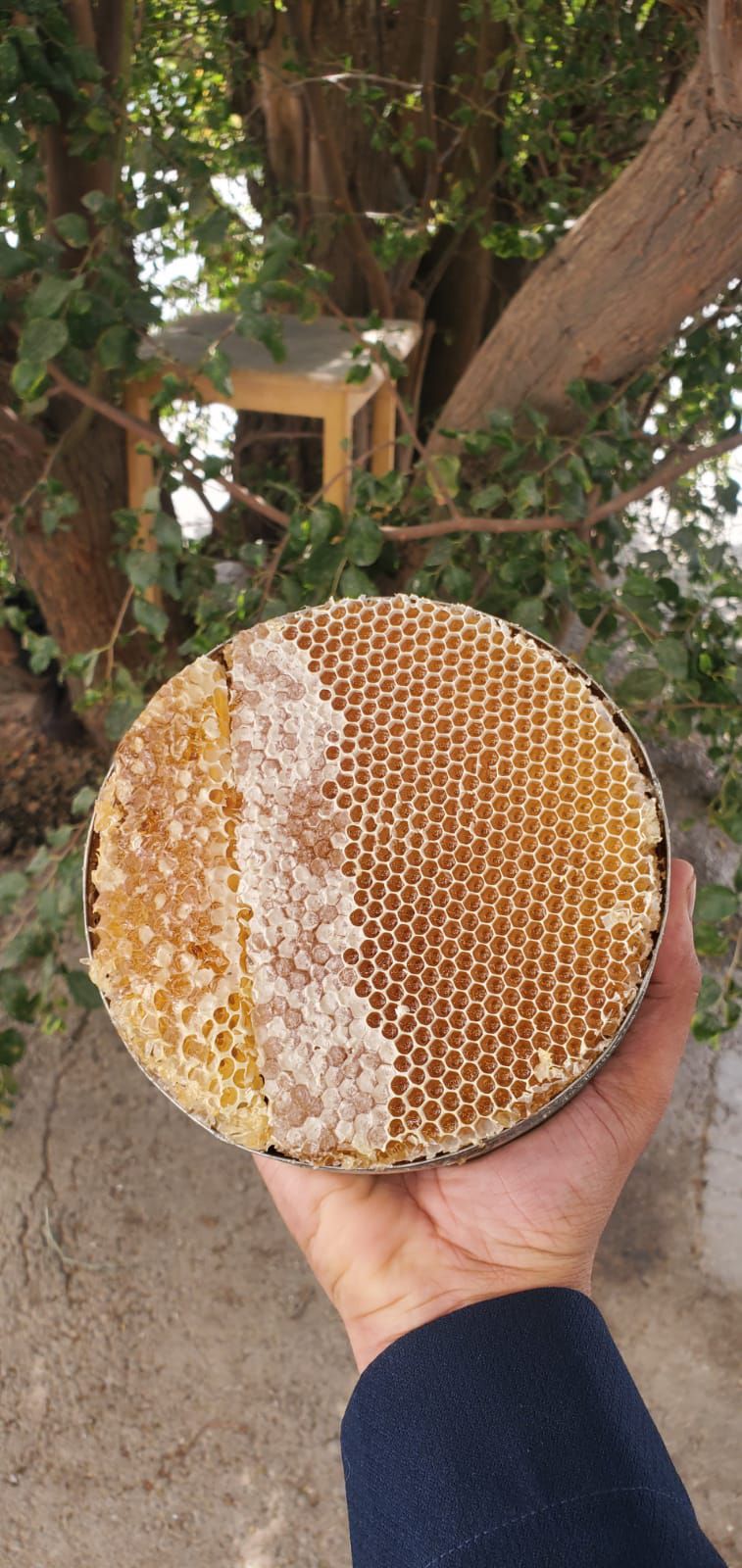 جميع انواع العسل اليمني ونورد الى جميع أنحاء العال