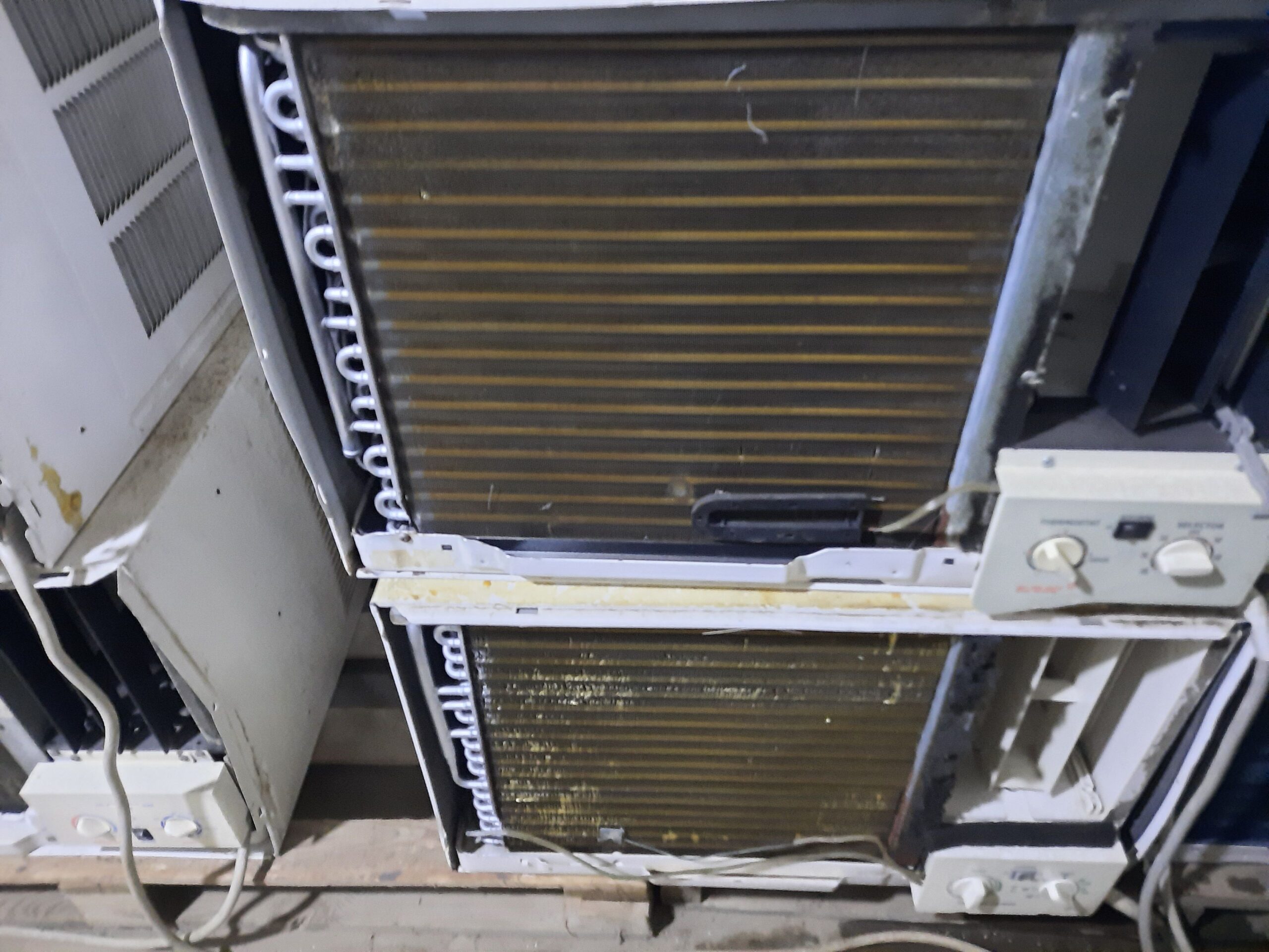 جده الاصاله