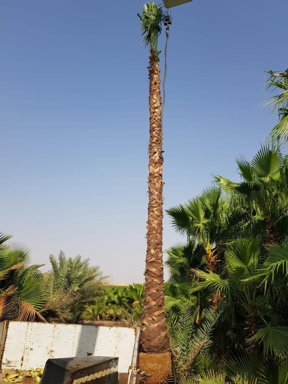 انحى ارض المملكة