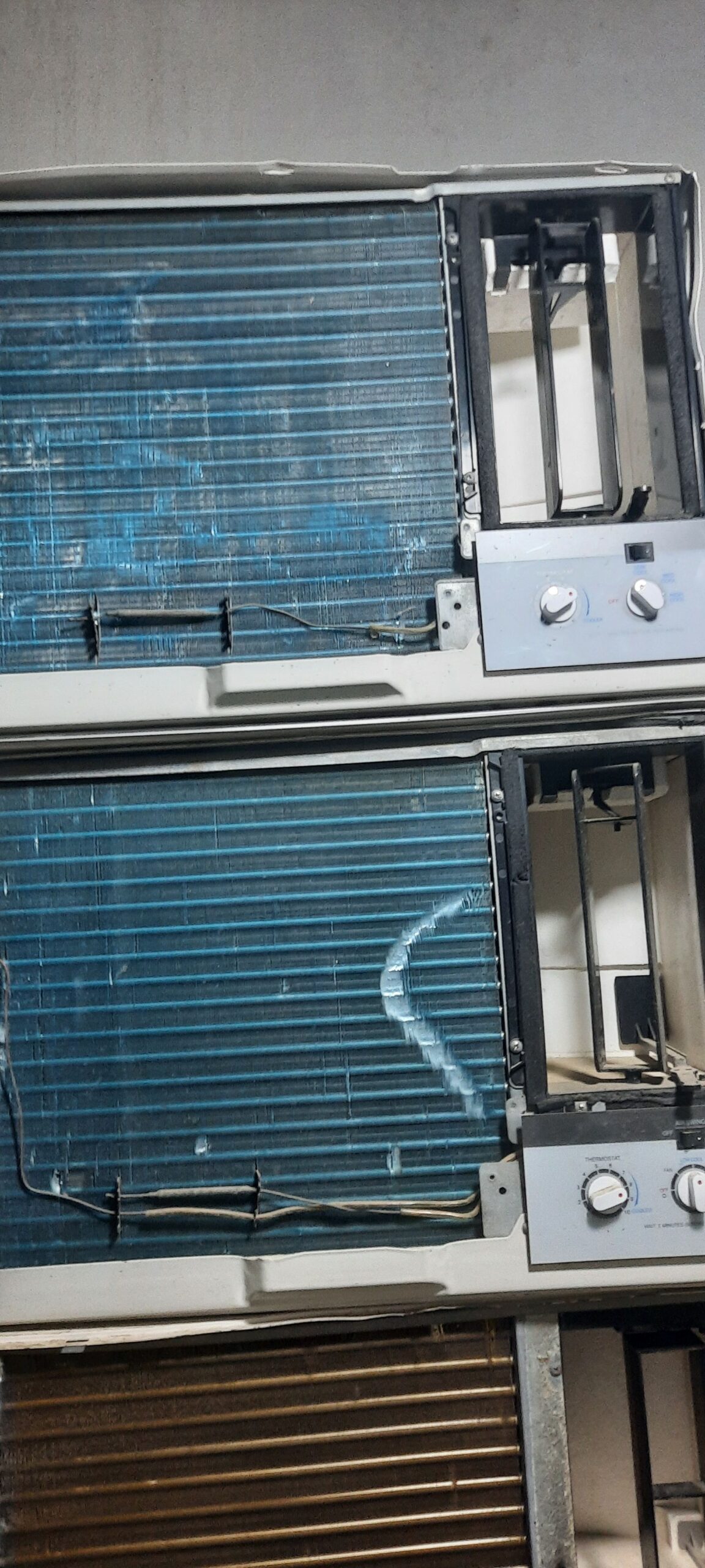 جده الاصاله