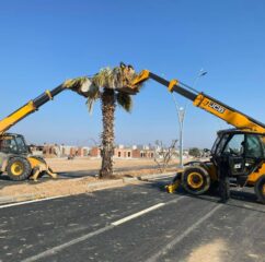 23182dd3-651b-4fd8-8fb1-1d41cdb687d3