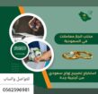 مكتب خدمات عامه استخراج تصاريح زواج