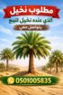 📢 عندك نخل للبيع؟ 🌴 نشتري جميع أنواع النخيل ✔️ است