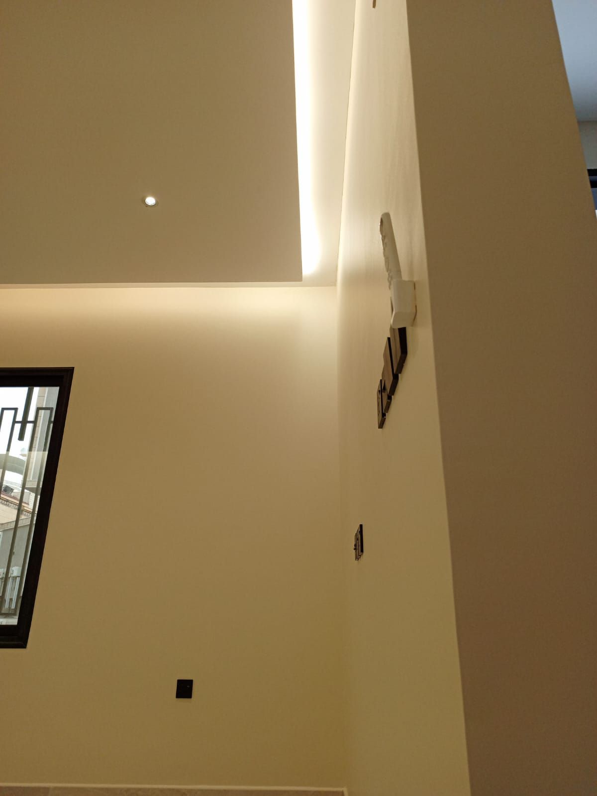 دهان بويا ممتاز